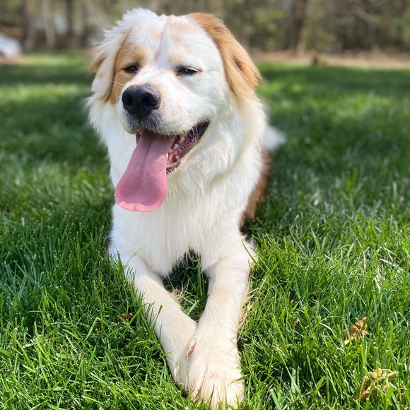 Meet your Posher, Alex - Picture 3 of 16